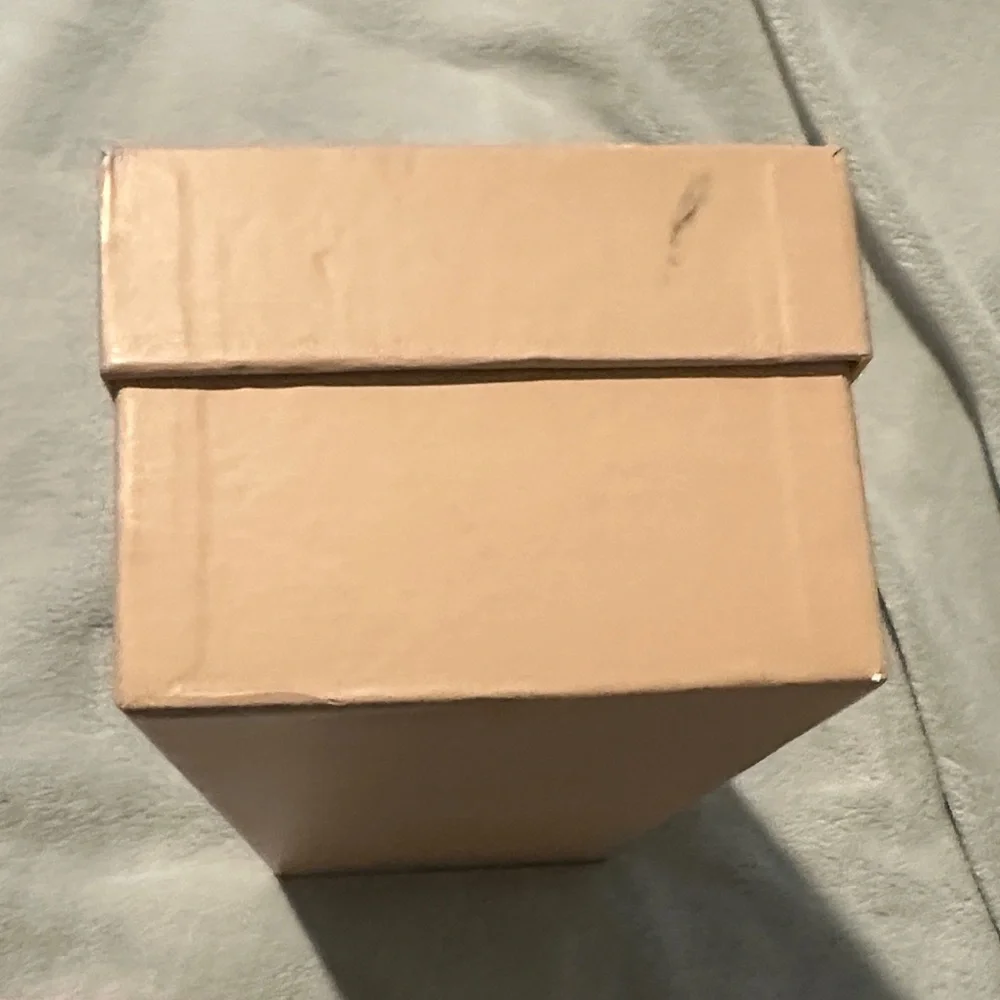Empty Michael Kors Beige Shoe Box
